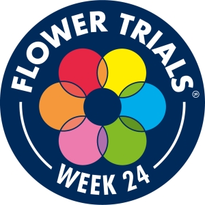Flower Trails 2021