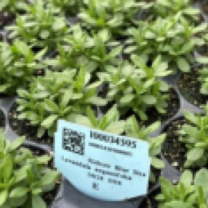 Sales Representatives Wanted in Germany.