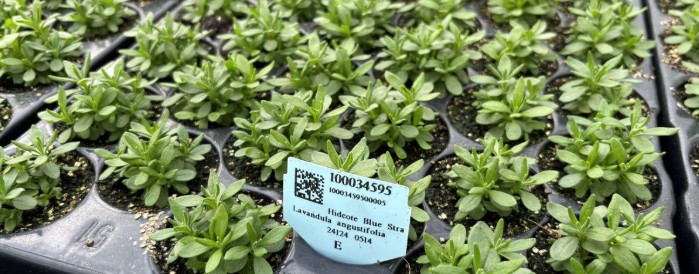 Sales Representatives Wanted in Germany.