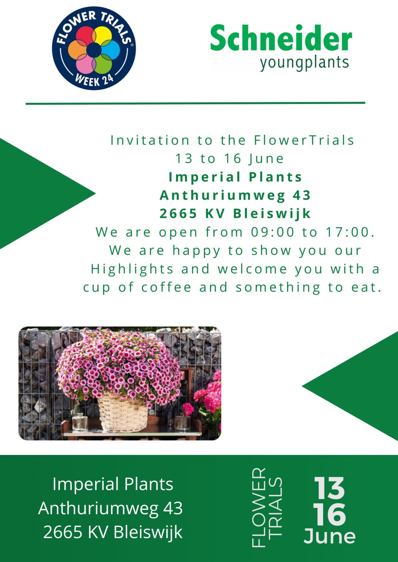 New location Flowertrials in Bleiswijk