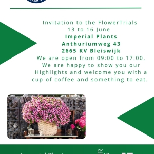 New location Flowertrials in Bleiswijk