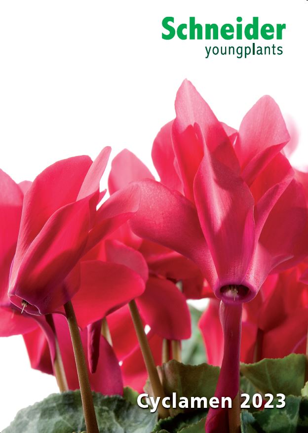  Cyclamen catalog