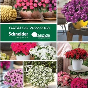 NEW Schneider Danziger Catalog