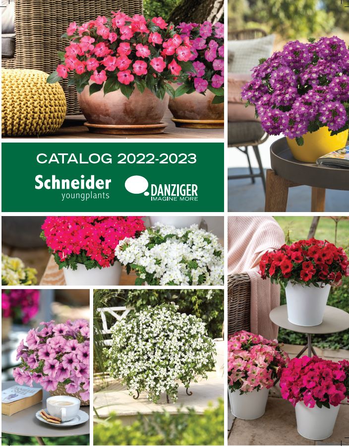 NEW Schneider Danziger Catalog