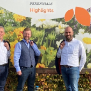 Dümmen Orange and Schneider to collaborate on rooting and sales of perennials